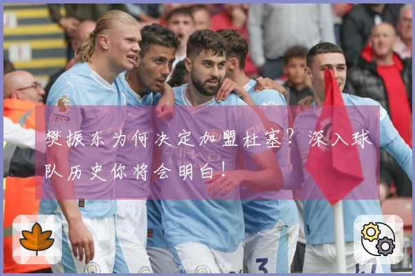 樊振东为何决定加盟杜塞？深入球队历史你将会明白！